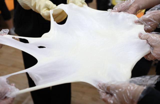 커드(응고된 치즈 조각)에 뜨거운 물을 부어 덩어리로 만든 뒤 늘리면 모짜렐라치즈가 된다. ⓒ박준규