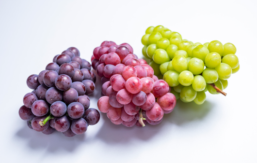 포도는 품종에 따라 과피 색상이 다르다. 왼쪽부터 흑색 계통. 적색 계통, 청색 계통 | 출처 : 클립아트코리아