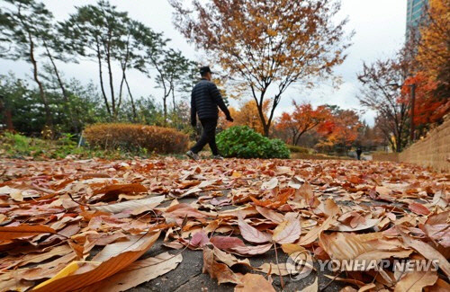 지난 13일 서울 서빙고근린공원에서 두꺼운 옷차림의 시민들이 낙엽이 쌓인 길을 걷고 있다.   연합뉴스