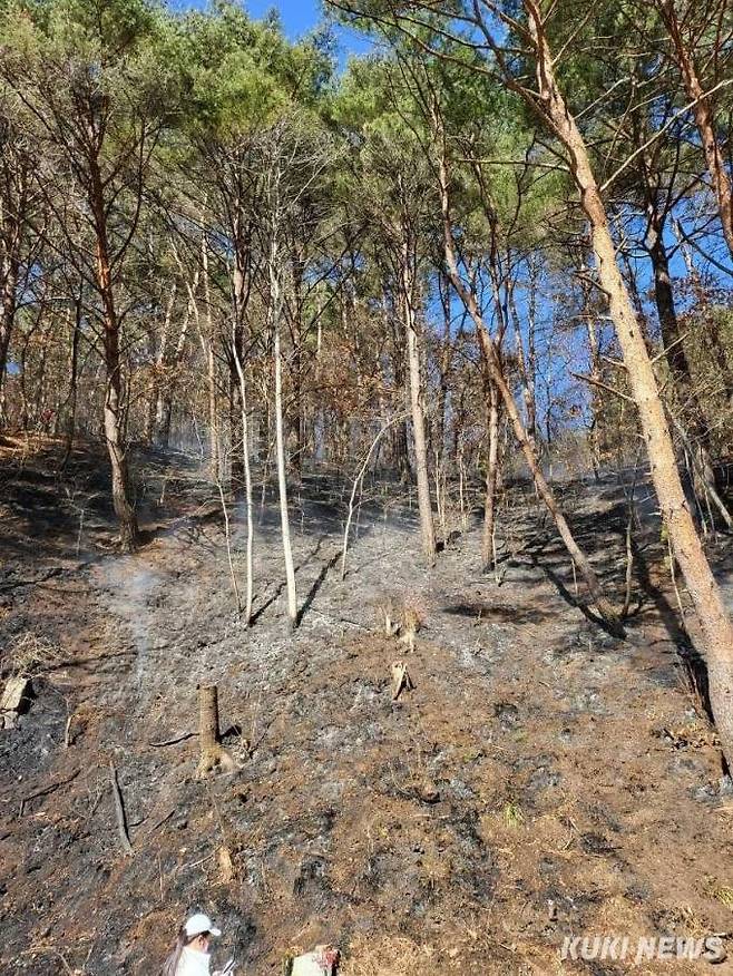27일 오전 11시51분께 강원 평창군 용평면 속사리 한 야산에서 불이 났다.(강원도소방본부 제공)