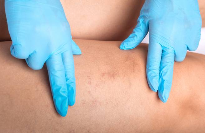 게티이미지뱅크