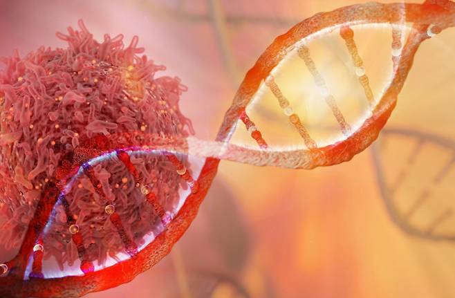 DNA 손상으로 악성암 발생 - 네이처 제공