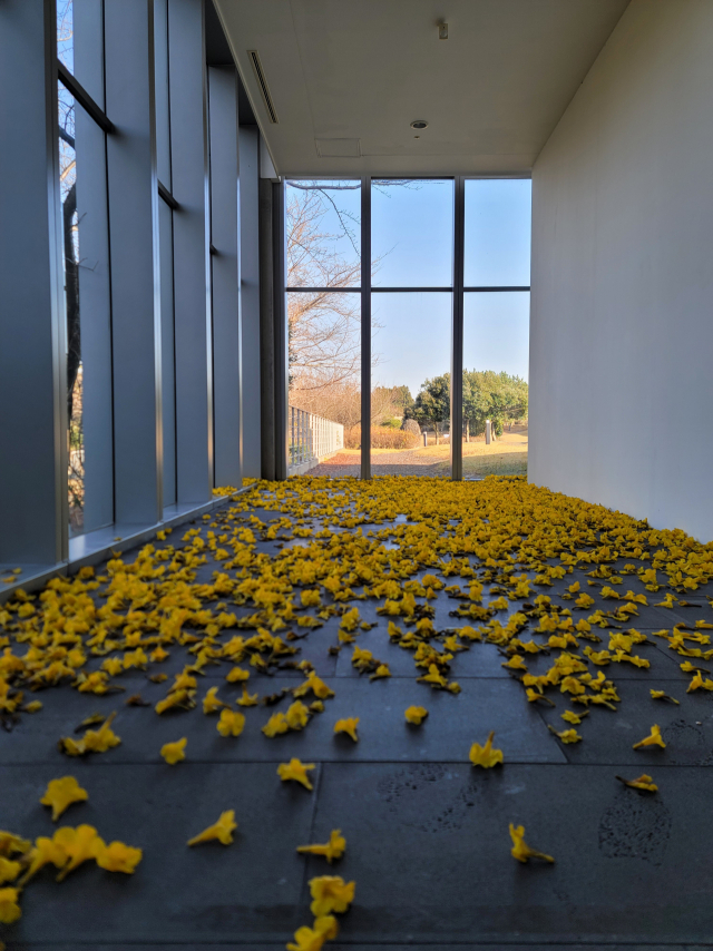 작가듀오 알로라&칼자디아의 '접목(Graft)'은 진짜 꽃처럼 보이지만 비닐을 재활용한 작업이다. /조상인기자