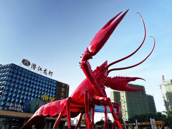 중국 후베이성 첸장시 도심의 가재 타운 룽샤청(龍蝦城)에 세워진 샤오룽샤 조각상. 길이 18.92m, 폭 12.81m, 높이 15.64m로 무게 100t의 세계 최대 크기로 기네스북에 올랐다. 신경진 기자