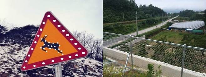 국토교통부와 환경부가 로드킬 저감대책으로 내세운 야생동물 유도울타리 및 LED 야생동물 주의표지판. [국토교통부 제공]