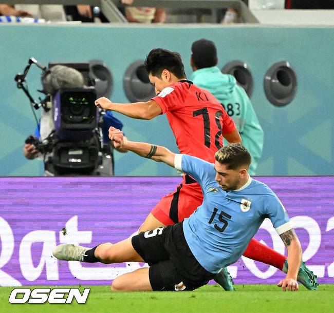 [OSEN=도하(카타르), 박준형 기자] &nbsp;24일(현지시간)  카타르 도하 에듀케이션 시티 스타디움에서 2022 국제축구연맹(FIFA) 카타르 월드컵 조별리그 H조 대한민국과 우루과이의 경기가 진행됐다.후반 한국 이강인이 우루과이 발베르데의 태클에 걸려 넘어지고 있다. 2022.11.24 /soul1014@osen.co.kr