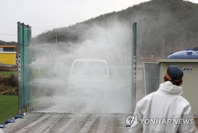 '차량 소독 철저히' (울산=연합뉴스) 김용태 기자 = 울산시 울주군 삼동면 한 산란계 농장에서 H5형 조류 인플루엔자(AI) 항원이 검출된 가운데 29일 오후 농장 인근 도로에서 출입 차량에 대한 소독이 진행되고 있다. 2022.11.29 yongtae@yna.co.kr