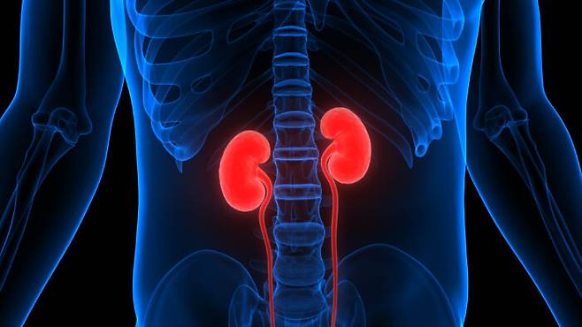 [사진=게티이미지뱅크]