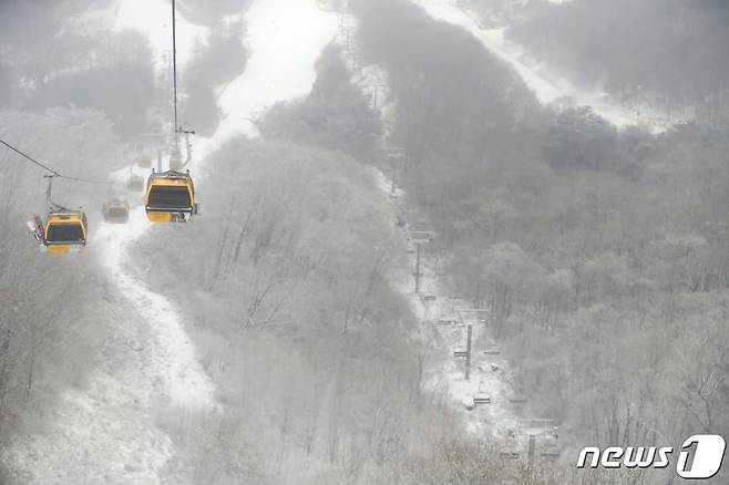 강원 평창군 '휘닉스 평창' 정상에서 바라본 전경 2020.1.1/뉴스1 ⓒ News1