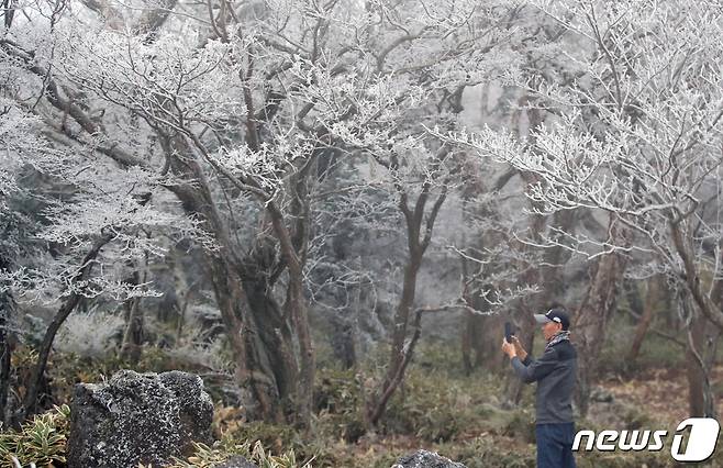 제주 산지에 한파주의보가 발효된 30일 오전 한라산 1100고지에서 한 시민이 눈꽃 사진을 찍고 있다. 2022.11.30/뉴스1 ⓒ News1 오현지 기자
