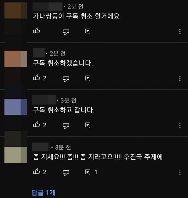 가나전과의 경기가 패배로 끝나자 '가나쌍둥이' 채널에 올라온 댓글들. (온라인 커뮤니티 갈무리)