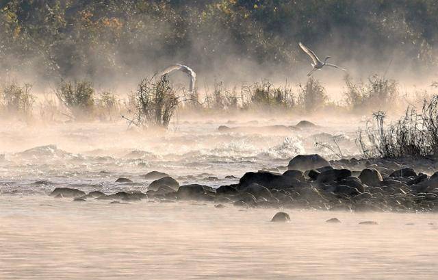 겨울로 들어선 강원 영월군 동강은 날갯짓하는 백로, 조용히 흘러가는 강물, 은은히 퍼지는 물안개가 ‘삼위일체’를 이루며 우리에게 아름다운 겨울 풍경을 선사했다. 영월=왕태석 선임기자