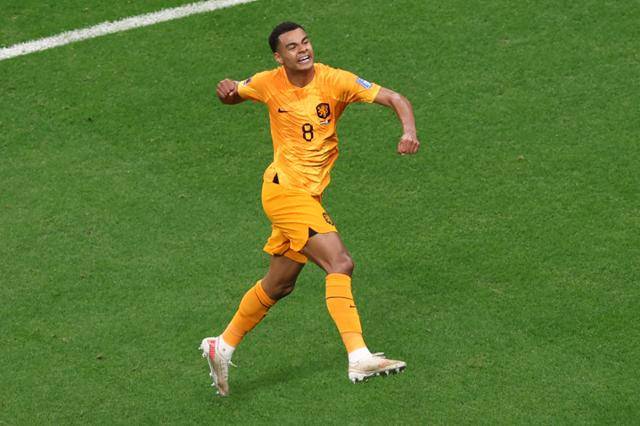 네덜란드의 신성 코디 학포가 29일(현지시간) 카타르 알코르 알바이트 스타디움에서 열린 2022 카타르 월드컵 조별리그 A조 최종전에서 개최국 카타르를 상대로 선제골을 터트린 후 기뻐하고 있다. 알코르=EPA 연합뉴스