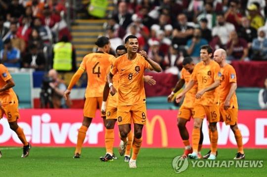 네덜란드 각포가 카타르와의 조별 3차전에서 골을 넣고 기뻐하고 있다. [사진=연합뉴스] 
골 넣고 기뻐하는 네덜란드 각포(가운데)
