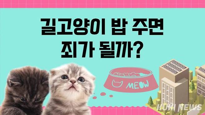 그래픽=안소현 기자