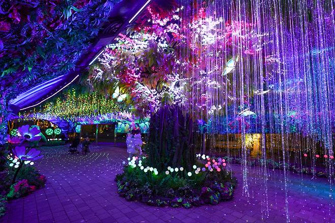 대전, 나이트 유니버스 인기 포토존인 ‘매직 네이처’. 사진제공|권다현