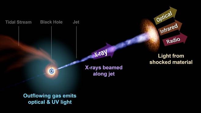 상대론적 제트를 분출하는 블랙홀 TDE의 빛 파장 그래픽  [Zwicky Transient Facility/R.Hurt (Caltech/IPAC) 제공/ 재판매 및 DB 금지] photo@yna.co.kr