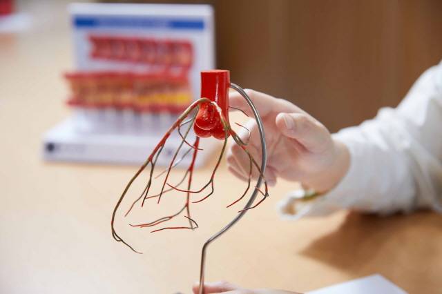 관상동맥 모형./사진=신지호 헬스조선 기자