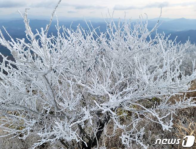 광주전남 최저기온이 영하권으로 떨어진 30일 광주 무등산 정상 부근에 올해 첫 눈이 관측됐다. /사진=뉴스1