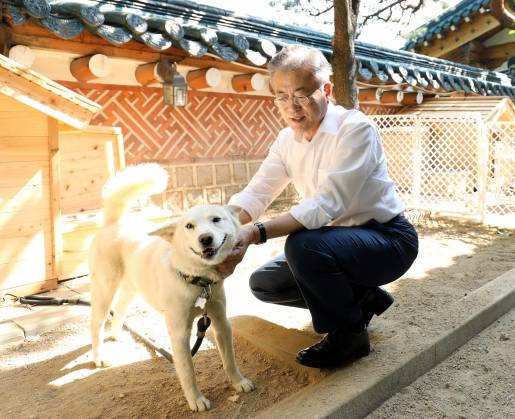 문재인 전 대통령이 김정은 북한 국무위원장에게 선물받은 풍산개와 함께 시간을 보내고 있다. 청와대 제공