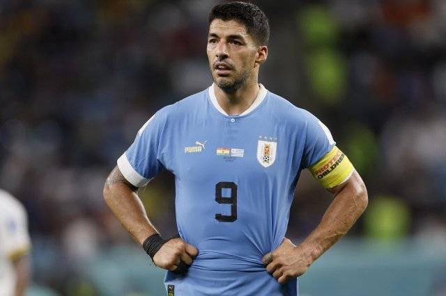 ⓒ게티이미지코리아