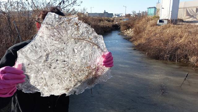 ▲ 철원군 갈말읍의 농업용 저류지에 얼음이 꽁꽁 얼어 맹추위를 실감케 하고 있다.[강원도민일보 자료사진]