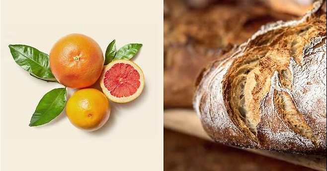 프란치아코르타 와인 풍미. 협회 홈페이지