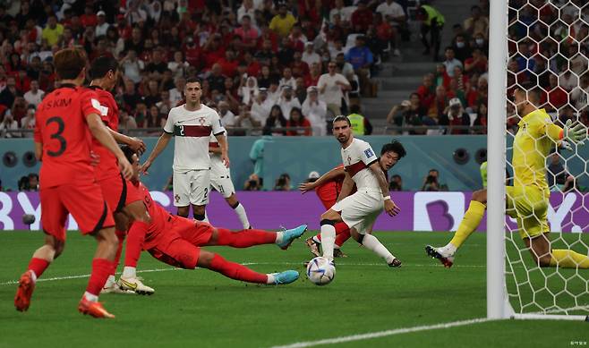 알라이얀=송은석 기자 silverstone@donga.com