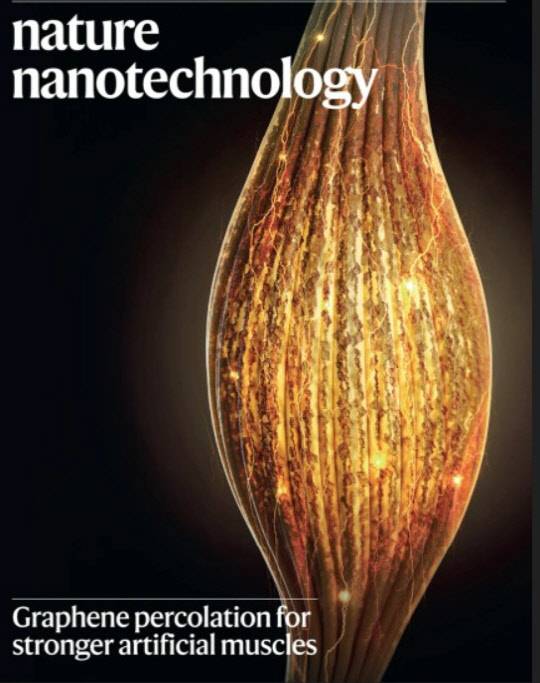 KAIST는 그래핀-액정 복합소재를 이용해 인간근육과 유사하면서 최대 17배 강한 힘을 내는 '인공근육'을 개발했다.



KAIST 제공