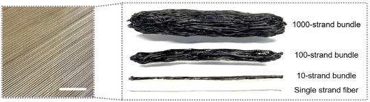 KAIST 개발한 인공근육 섬유다발 모습



KAIST 제공