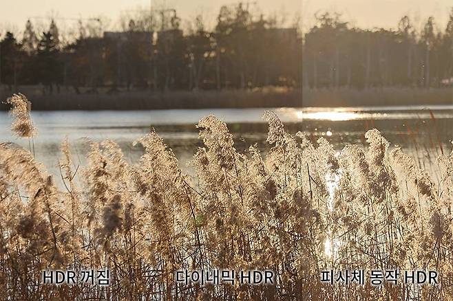 피사체 동작 HDR이 추가되면서 동적인 피사체도 HDR로 촬영할 수 있게 됐다. 일반 스마트폰처럼 한 장으로 HDR을 기록하는 것도 가능해졌다. 출처=IT동아