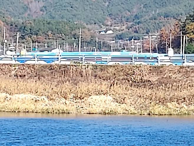 장흥 AI 발병 농장 ⓒ시사저널