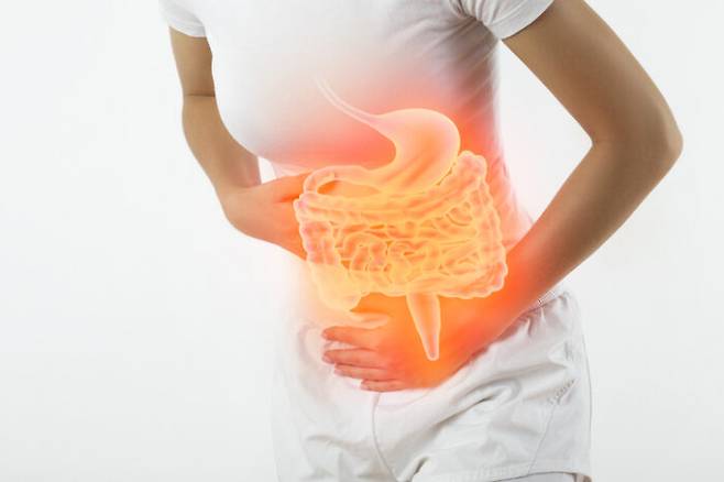 건강한 장은 '자정 능력'이 있다. 굳이 '마법의 약'을 찾지 않아도 된다. 맛도 있고 영양도 풍부하고 건강에 좋은 음식을 골라 먹는 게 최선이다. [사진=게티이미지뱅크]