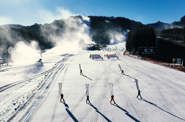 지난 2일 강원 평창 용평리조트 스키장을 시작으로 주요 스키장이 잇달아 개장하고 있다. 용평리조트 제공