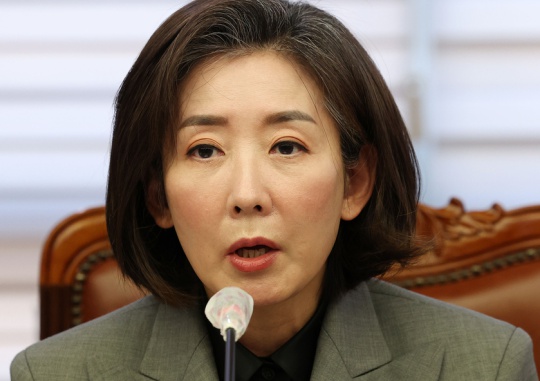 Na Kyung-won, vice chair of the Presidential Committee on Aging Society and Population Policy speaks at the signing of a convention for joint action in response to the population crisis at the Korea Enterprises Federation in Mapo-gu, Seoul on December 2. Yonhap News