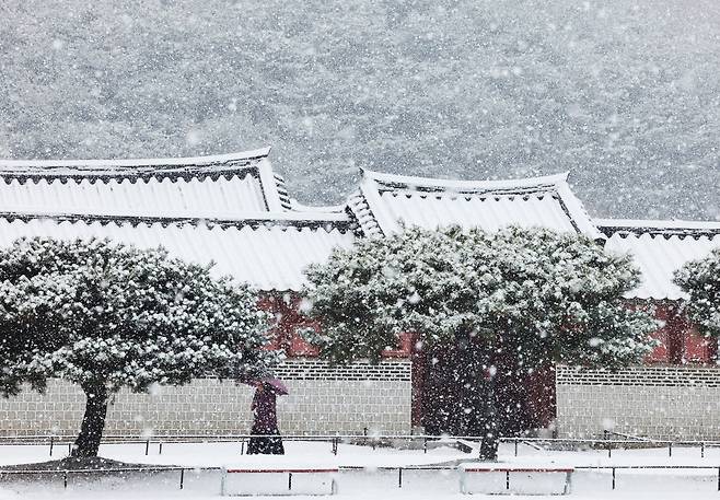 6일 오전 경기도 수원시 화성행궁에 눈이 내리고 있다. 기사와 사진은 직접 관련 없음. [연합]