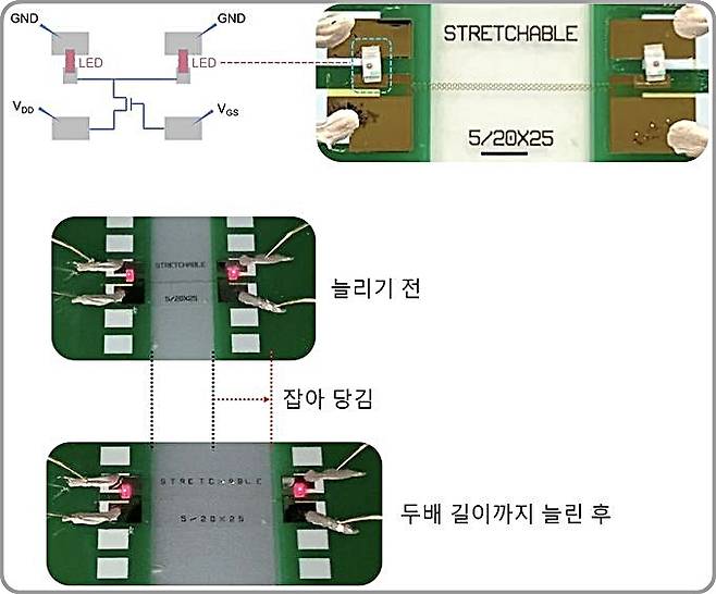 [대전=뉴시스] ETRI가 개발한 스트레처블 전자소자의 신축성능. 신축배선 위에 제작된 산화물반도체 트랜지스터로 LED를 구동시켜 두 배까지 늘렸을 때도 LED에 불이 들어온다. *재판매 및 DB 금지