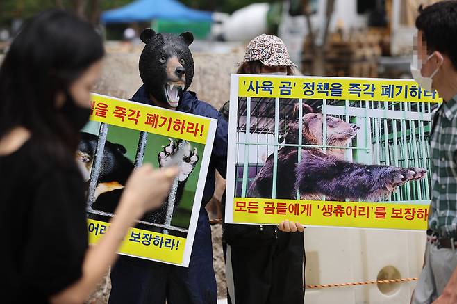 곰탈을 쓴 한국동물보호연합 회원이 지난 7월 18일 오후 서울 종로구 광화문광장 인근에서 사육곰 정책 즉각 폐기 및 야생동물보호시설(생츄어리) 보장을 주장하며 기자회견을 열고 있다.&nbsp;Ⓒ연합뉴스