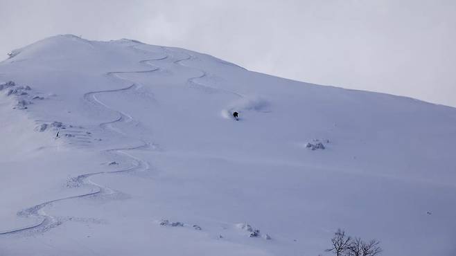 현지 토박이 가이드인 토시야 와타나베는 리시리산에 내리는 가루눈이 세계 최고라고 설명했다