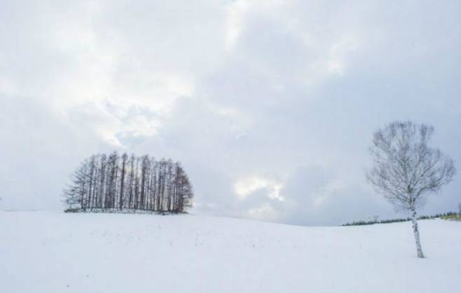 일본 홋카이도 삿포로. /게티이미지뱅크