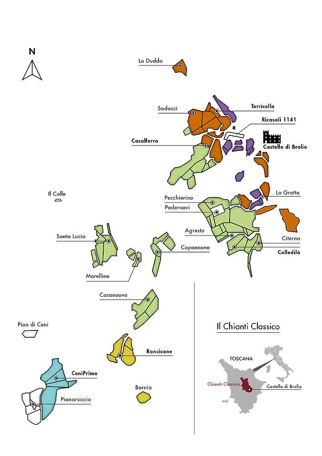 5개 토양으로 구분한 리카솔리 포도밭