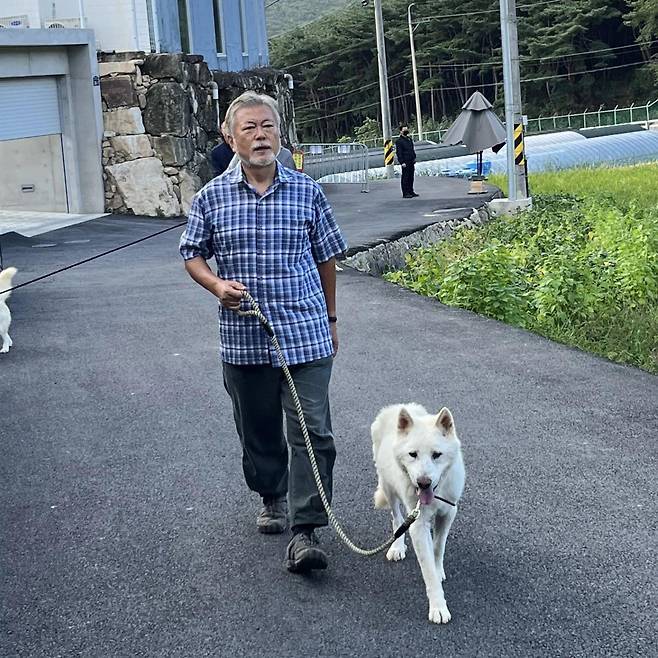 문재인 전 대통령의 퇴임 이후 근황 사진에는 늘 마루가 함께 했다. 문재인 전 대통령 페이스북