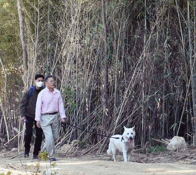 문재인 전 대통령의 퇴임 이후 근황 사진에는 늘 마루가 함께 했다. 문재인 전 대통령 페이스북