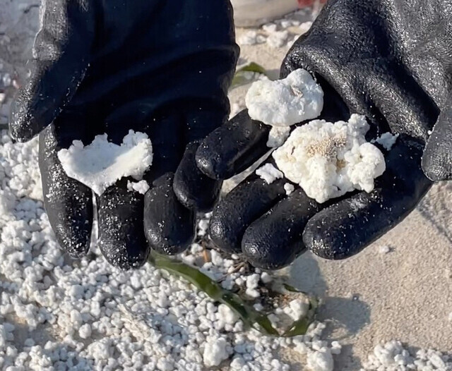 시민단체 ‘세이브제주바다’ 활동가가 8일 제주도 구좌읍 김녕해변에서 수거한 정체불명 흰색 덩어리를 만져보고 있다. 세이브제주바다 제공
