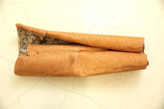 네베르스로이드용 자작나무 껍질을 채취할 때 나무 전체를 자르지 않고 껍질만 얻어 친환경적이다.