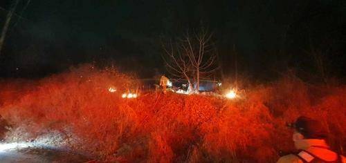 방화로 불붙은 세종 금강변 갈대밭 [세종소방본부 제공]