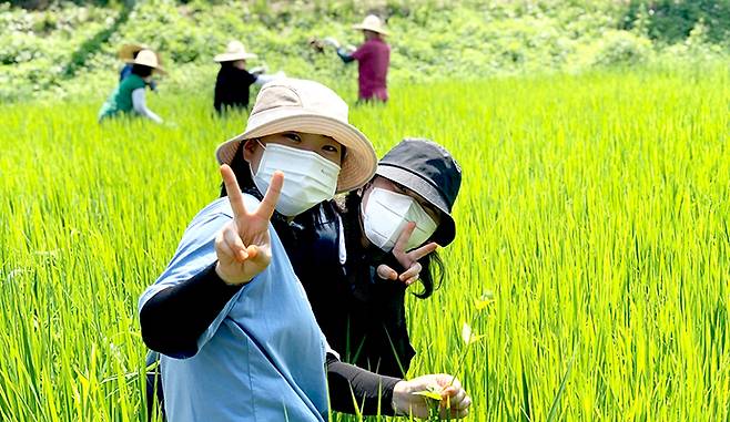 청년이그린협동조합 조합원들이 공유농장 형태로 운영되는 ‘협업농장’에서 영농에 몰두하며 환하게 웃고 있다. 사진제공=청년이그린협동조합