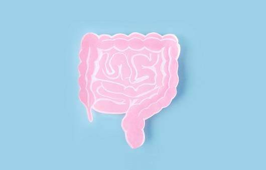 장 건강｜출처: 게티이미지 뱅크