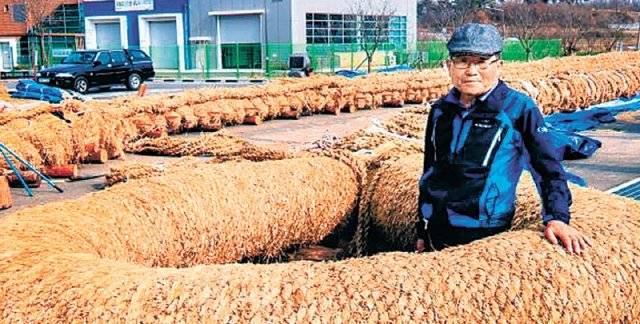 국가무형문화재 ‘기지시줄다리기’ 구자동 보유자가 줄다리기 줄 앞에 섰다. 짚으로 150m 넘게 꼰 줄은 액운을 쫓는 지네를 형상화했다. 문화재청 제공
