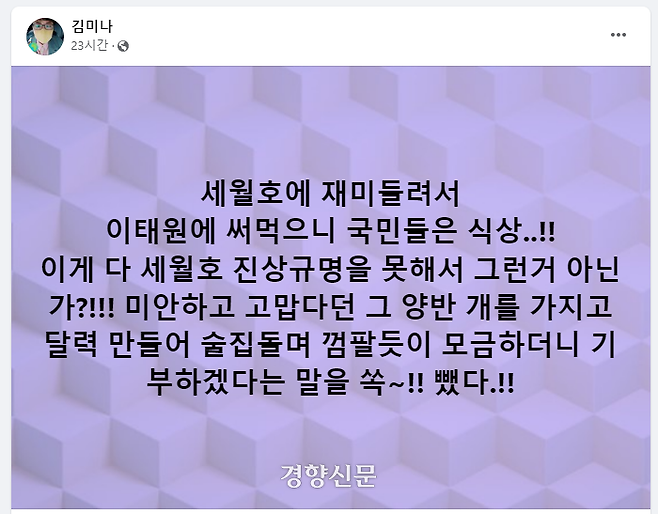 김미나 국민의힘 창원시의원 페이스북 캡쳐